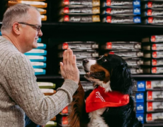 给予科学营养支持,爱肯拿猫粮更懂猫咪需要